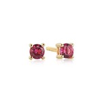 Princess Piccolo Gold Red Zirconia Stud Earrings