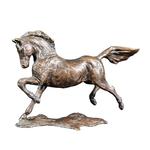 Pony Bronze
