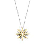 Star Gold Plated SIlver Pendant & Chain