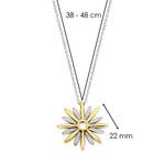 Star Gold Plated SIlver Pendant & Chain