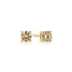Princess Piccolo Gold and Yellow Stud Earrings