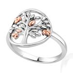 Tree of Life Circle Silver Ring with Welsh Gold