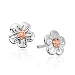 Forget Me Not Silver & Welsh Gold Stud Earrings