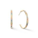 Multicolour Pastel Crystal & Gold Hoops 3.5cm