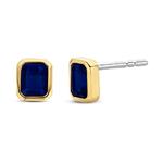 Blue Rectangular Silver & Gold Plate Stud Earrings