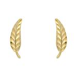 Feather Stud Earrings 9ct Yellow Gold
